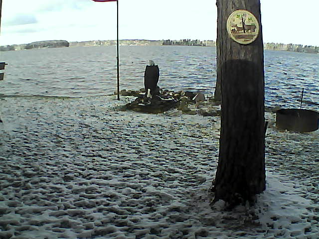 Whiteface Cam Image - Sat, 10/24/2020 12:02pm 