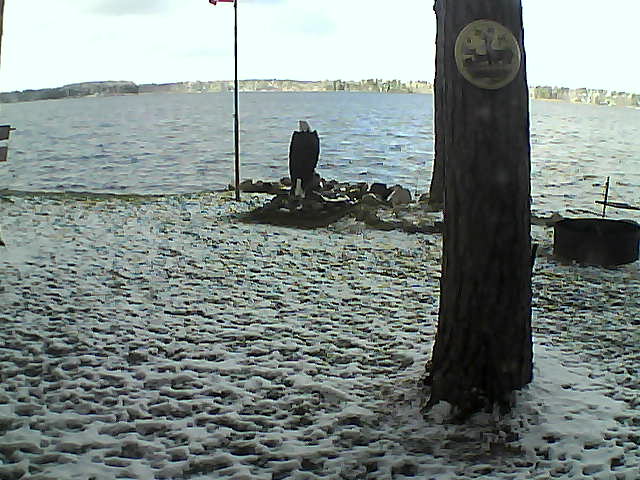 Whiteface Cam Image - Sat, 10/24/2020 12:42pm 