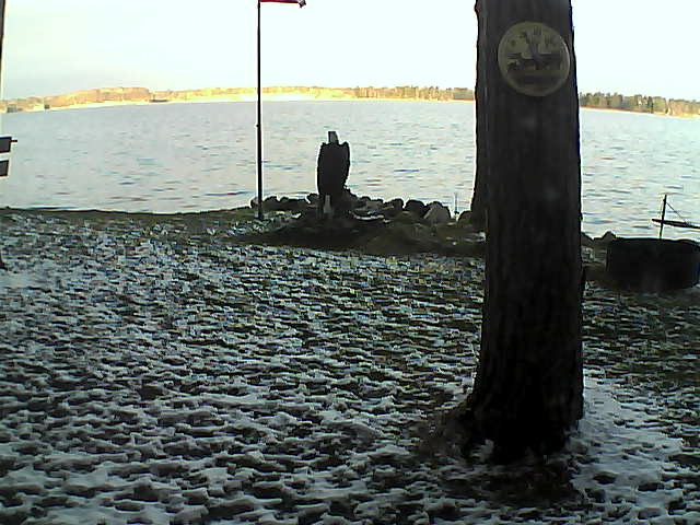 Whiteface Cam Image - Mon, 10/26/2020 8:18am 