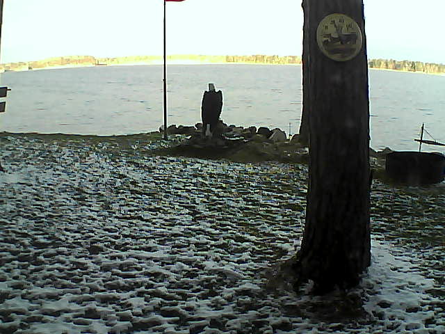 Whiteface Cam Image - Mon, 10/26/2020 8:29am 