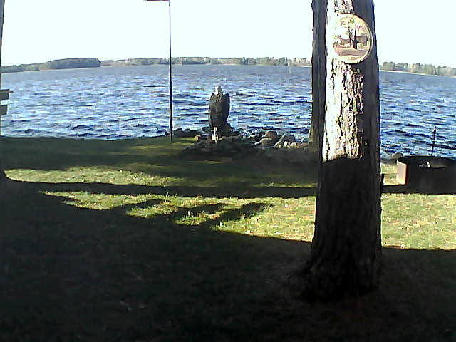 Whiteface Cam Image - Sun, 11/01/2020 1:34pm 