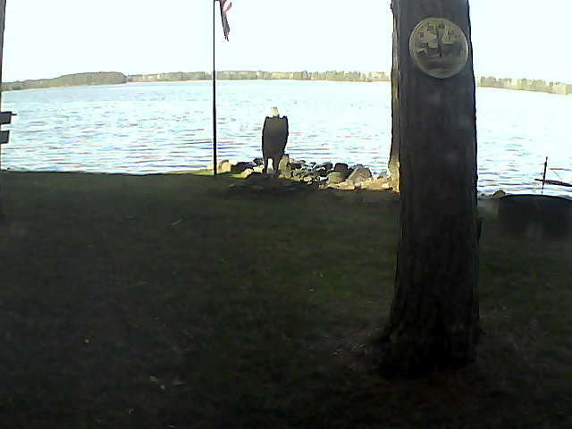 Whiteface Cam Image - Mon, 11/02/2020 9:26am 