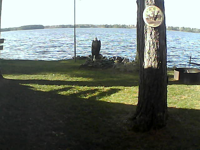 Whiteface Cam Image - Mon, 11/02/2020 1:36pm 