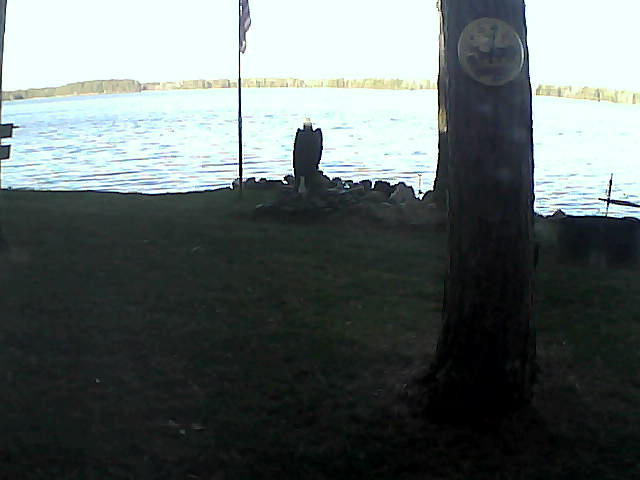 Whiteface Cam Image - Tue, 11/03/2020 8:37am 