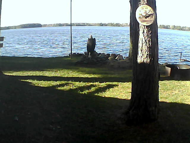 Whiteface Cam Image - Tue, 11/03/2020 1:37pm 