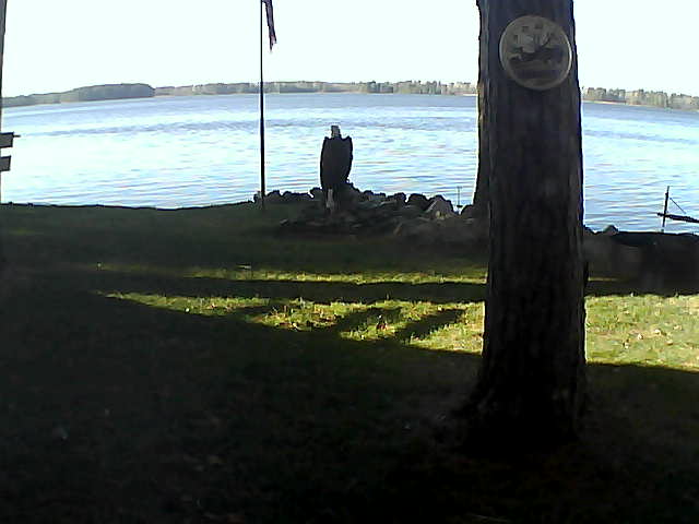 Whiteface Cam Image - Sun, 11/08/2020 1:45pm 