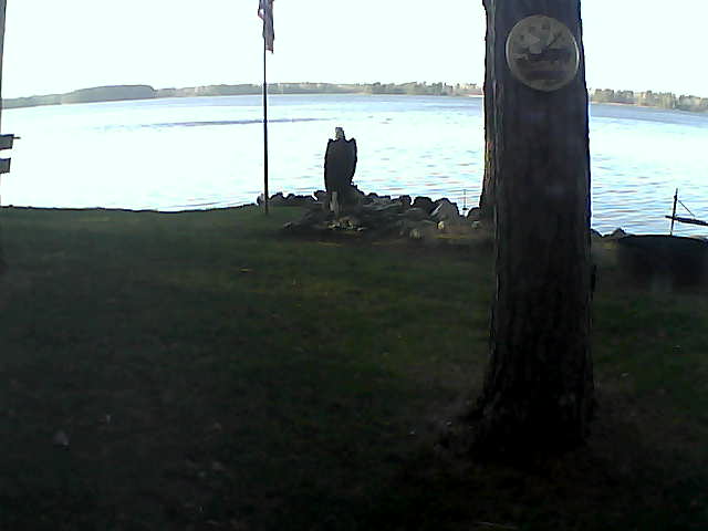 Whiteface Cam Image - Sun, 11/08/2020 2:35pm 