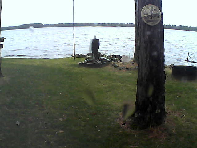 Whiteface Cam Image - Mon, 11/09/2020 4:17pm 