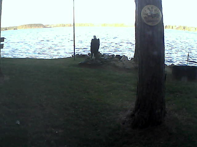 Whiteface Cam Image - Tue, 11/10/2020 8:08am 