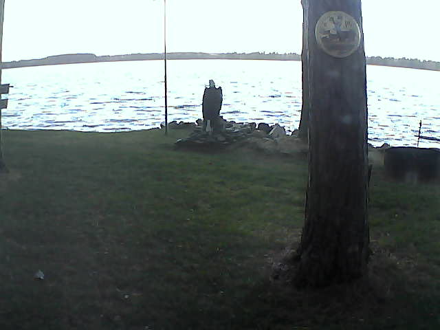 Whiteface Cam Image - Tue, 11/10/2020 8:18am 