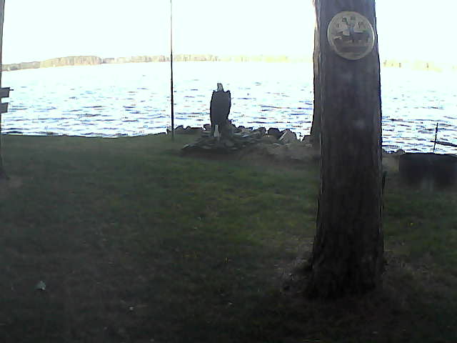 Whiteface Cam Image - Tue, 11/10/2020 8:38am 