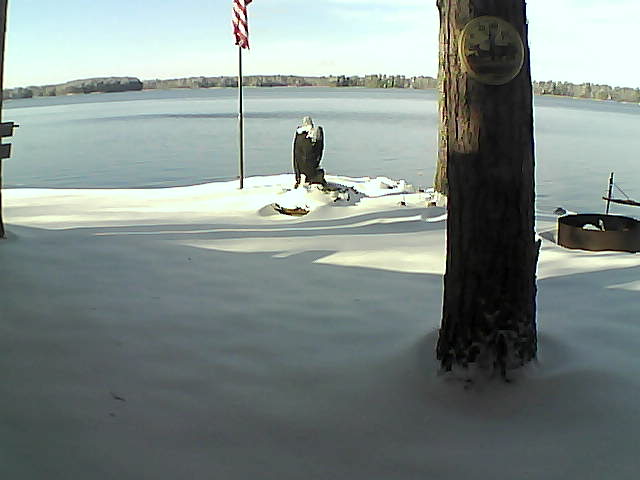 Whiteface Cam Image - Wed, 11/11/2020 12:39pm 