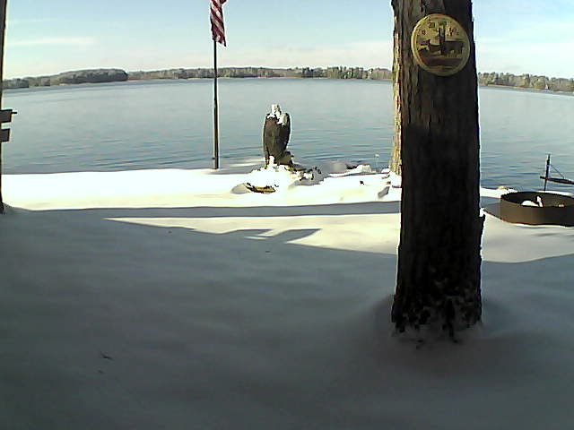 Whiteface Cam Image - Wed, 11/11/2020 12:59pm 