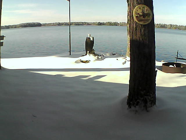 Whiteface Cam Image - Wed, 11/11/2020 1:09pm 