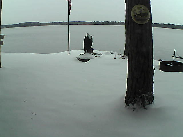 Whiteface Cam Image - Wed, 11/11/2020 3:39pm 