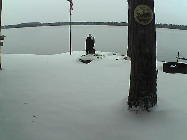 Whiteface Cam Image - Wed, 11/11/2020 3:49pm 