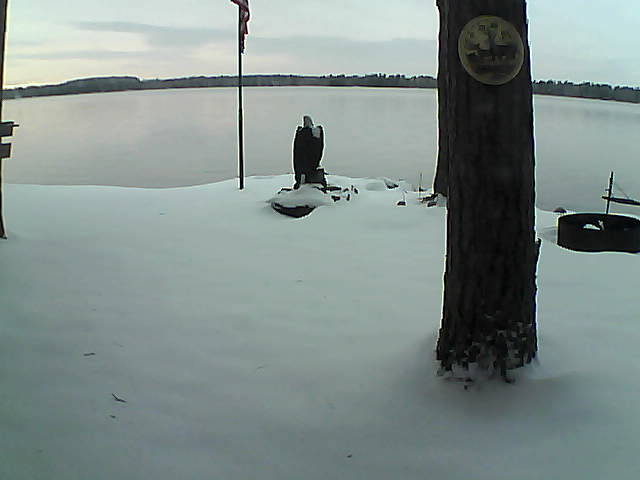 Whiteface Cam Image - Wed, 11/11/2020 4:19pm 