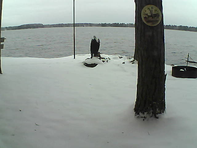 Whiteface Cam Image - Thu, 11/12/2020 8:11am 