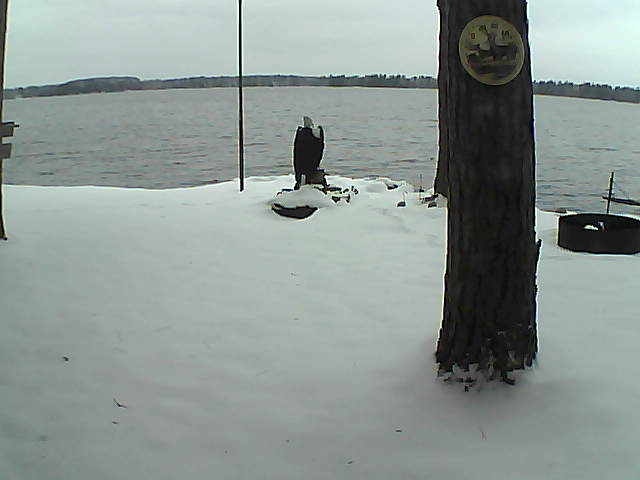 Whiteface Cam Image - Thu, 11/12/2020 9:31am 