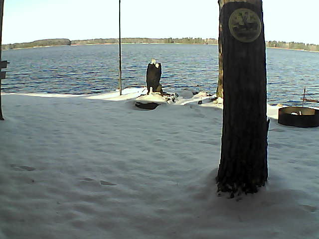 Whiteface Cam Image - Fri, 11/13/2020 10:23am 