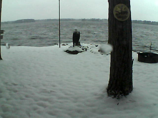 Whiteface Cam Image - Sun, 11/15/2020 7:04am 