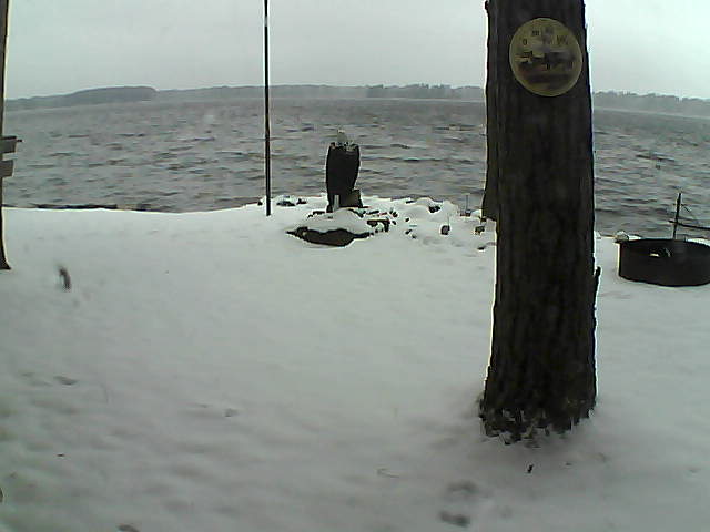 Whiteface Cam Image - Sun, 11/15/2020 8:25am 