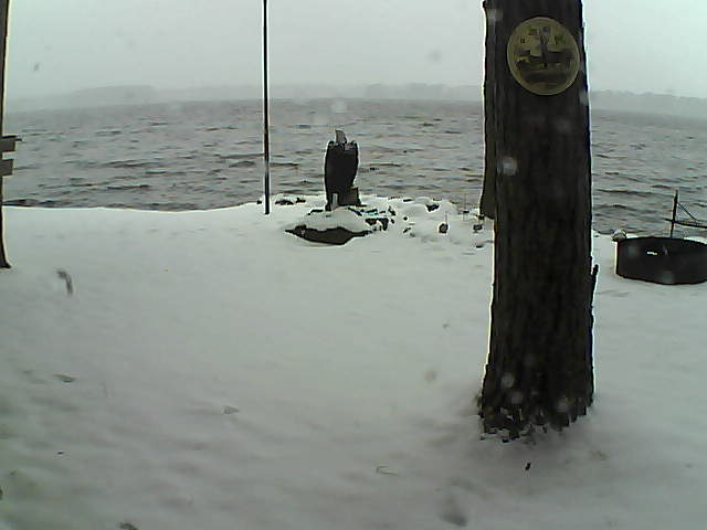 Whiteface Cam Image - Sun, 11/15/2020 9:15am 