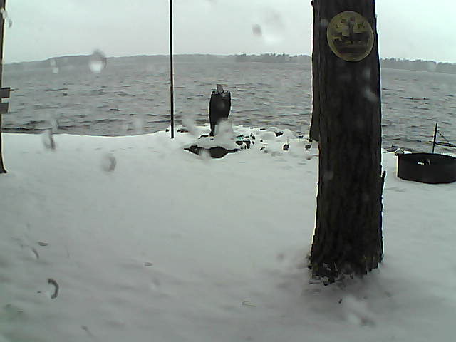 Whiteface Cam Image - Sun, 11/15/2020 9:55am 