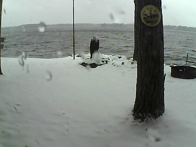 Whiteface Cam Image - Sun, 11/15/2020 10:05am 