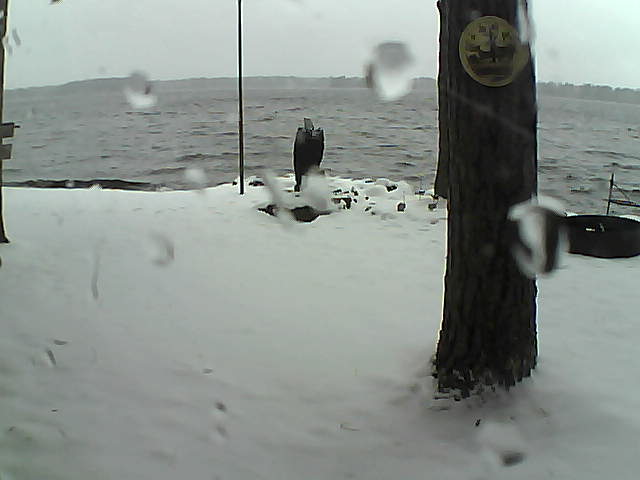 Whiteface Cam Image - Sun, 11/15/2020 10:15am 