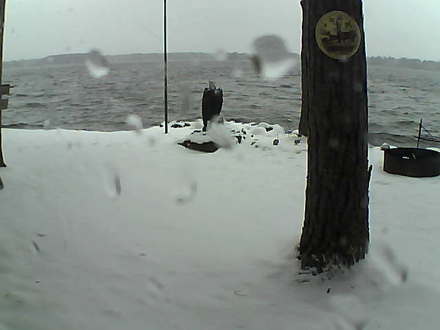 Whiteface Cam Image - Sun, 11/15/2020 10:35am 