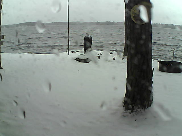 Whiteface Cam Image - Sun, 11/15/2020 10:55am 