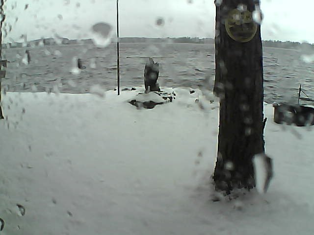 Whiteface Cam Image - Sun, 11/15/2020 11:15am 