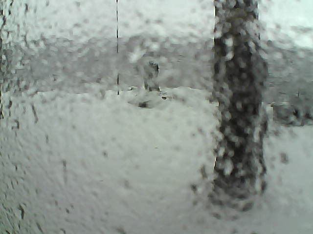 Whiteface Cam Image - Sun, 11/15/2020 12:05pm 