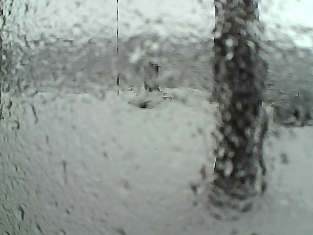 Whiteface Cam Image - Sun, 11/15/2020 12:15pm 