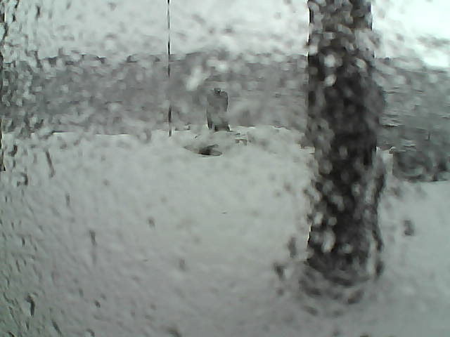 Whiteface Cam Image - Sun, 11/15/2020 12:25pm 