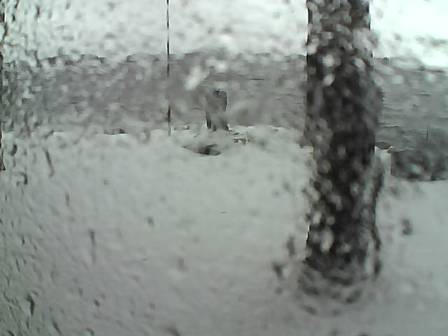 Whiteface Cam Image - Sun, 11/15/2020 12:35pm 