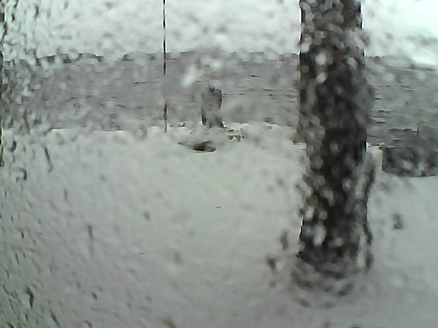 Whiteface Cam Image - Sun, 11/15/2020 12:45pm 