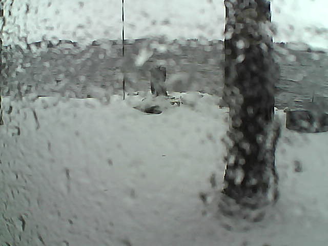 Whiteface Cam Image - Sun, 11/15/2020 12:55pm 