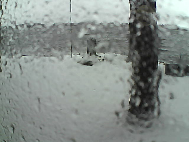 Whiteface Cam Image - Sun, 11/15/2020 1:05pm 