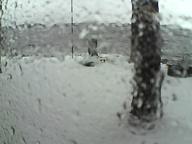 Whiteface Cam Image - Sun, 11/15/2020 1:15pm 