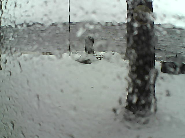 Whiteface Cam Image - Sun, 11/15/2020 1:25pm 