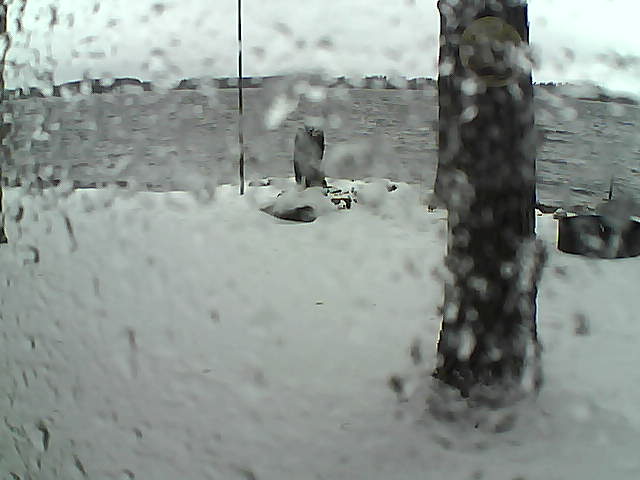 Whiteface Cam Image - Sun, 11/15/2020 1:35pm 