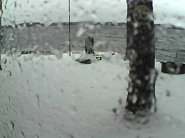 Whiteface Cam Image - Sun, 11/15/2020 1:45pm 