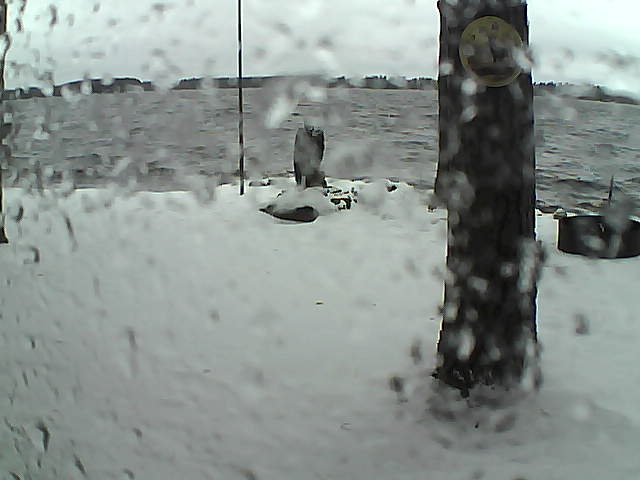 Whiteface Cam Image - Sun, 11/15/2020 1:55pm 