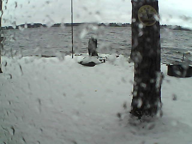 Whiteface Cam Image - Sun, 11/15/2020 2:05pm 