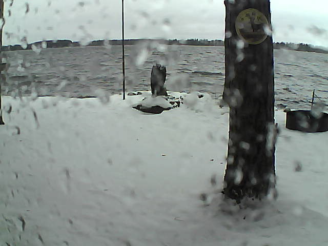 Whiteface Cam Image - Sun, 11/15/2020 2:15pm 