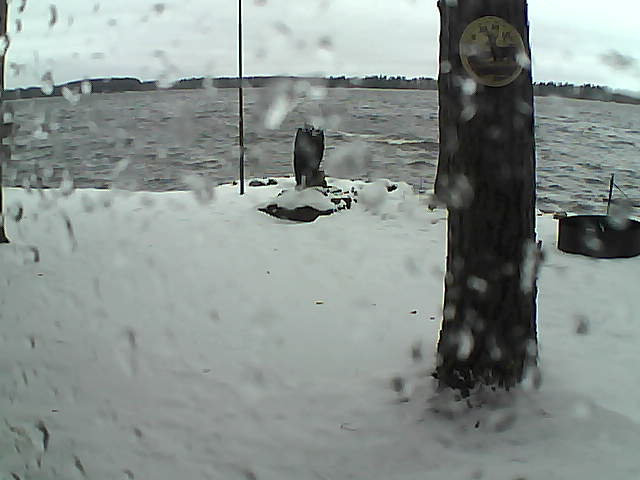 Whiteface Cam Image - Sun, 11/15/2020 2:25pm 