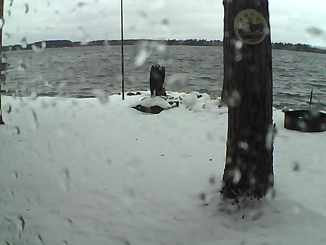 Whiteface Cam Image - Sun, 11/15/2020 2:35pm 