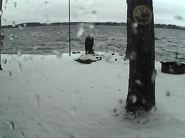 Whiteface Cam Image - Sun, 11/15/2020 2:45pm 